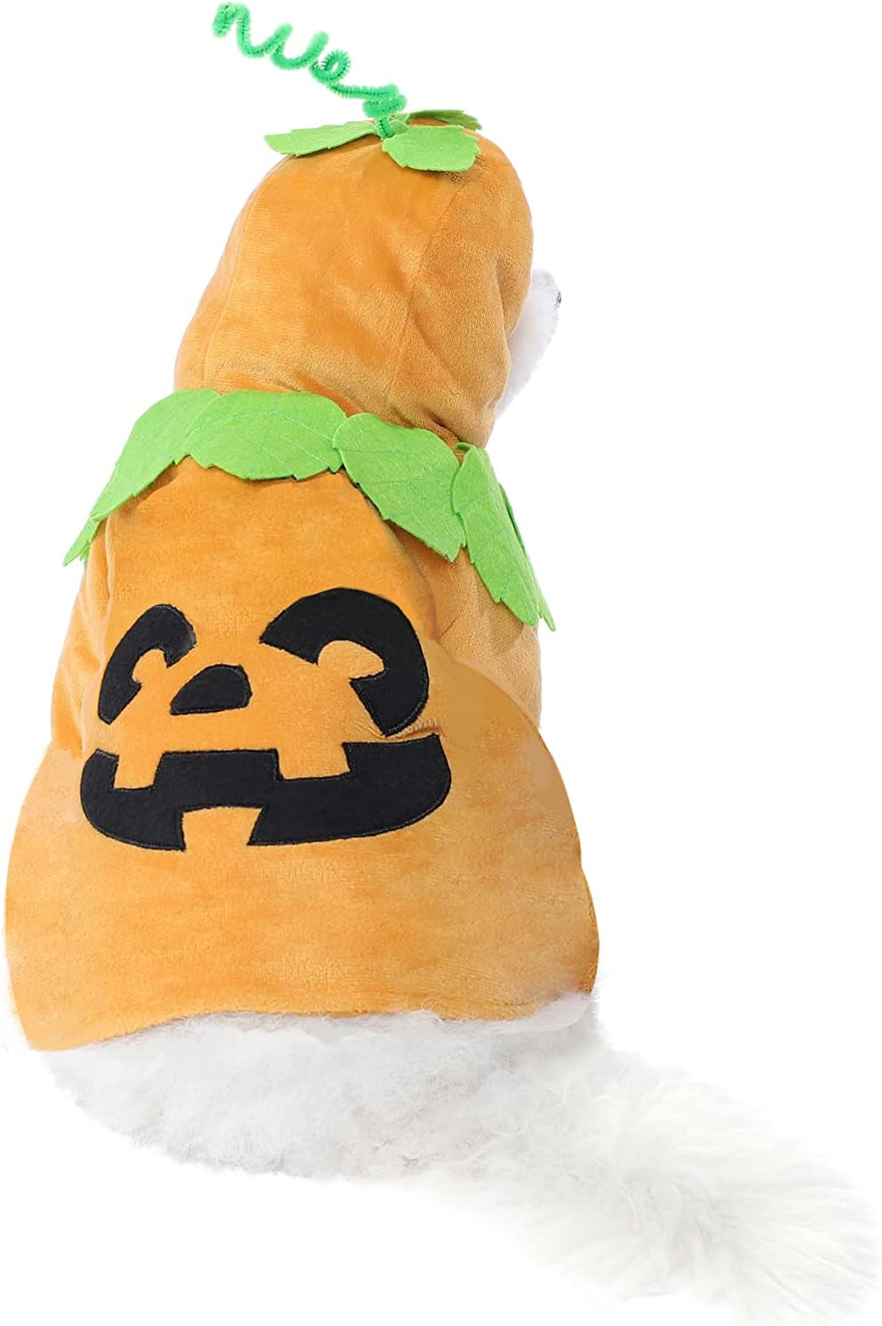 Pumpkin Pet Costume