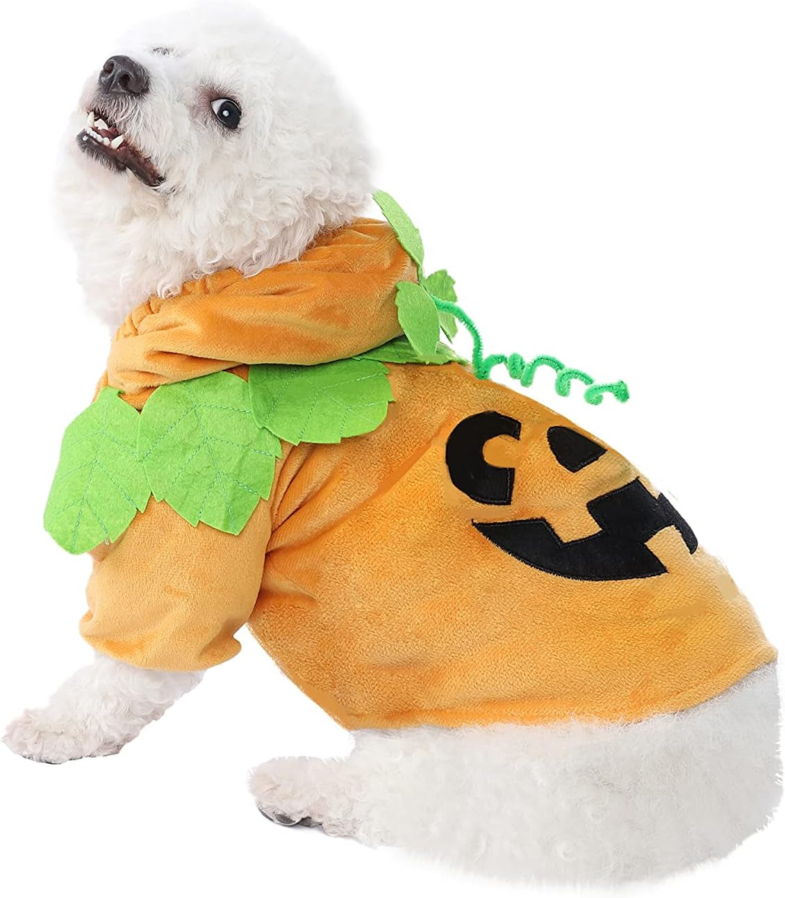 Pumpkin Pet Costume
