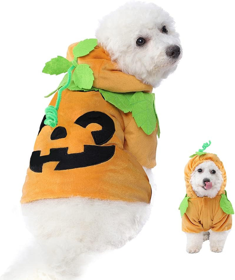 Pumpkin Pet Costume
