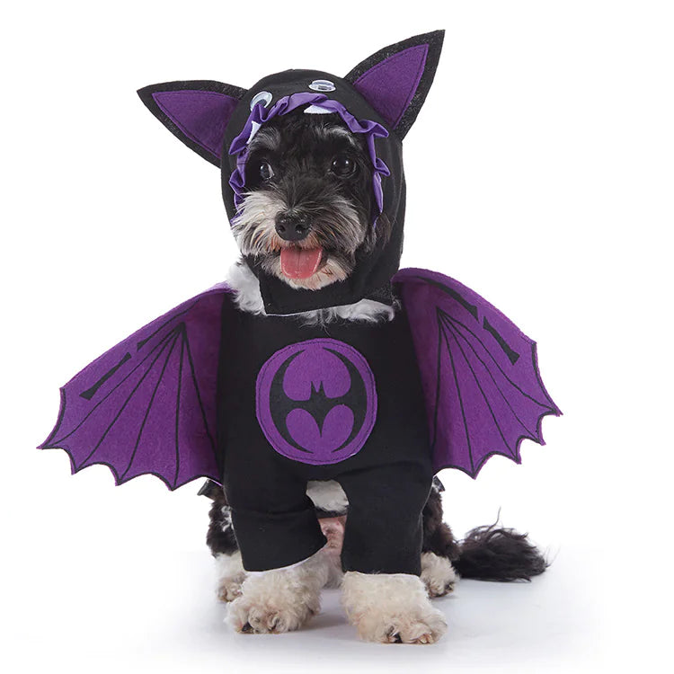 Pet Costumes