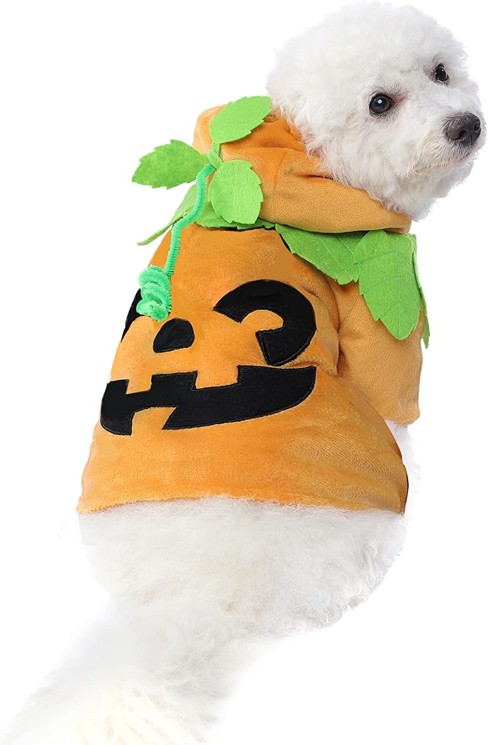 Pumpkin Pet Costume