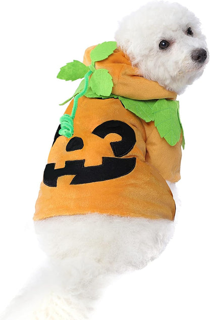 Pumpkin Pet Costume